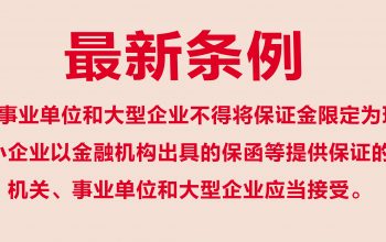 保障中小企业款项支付条例
